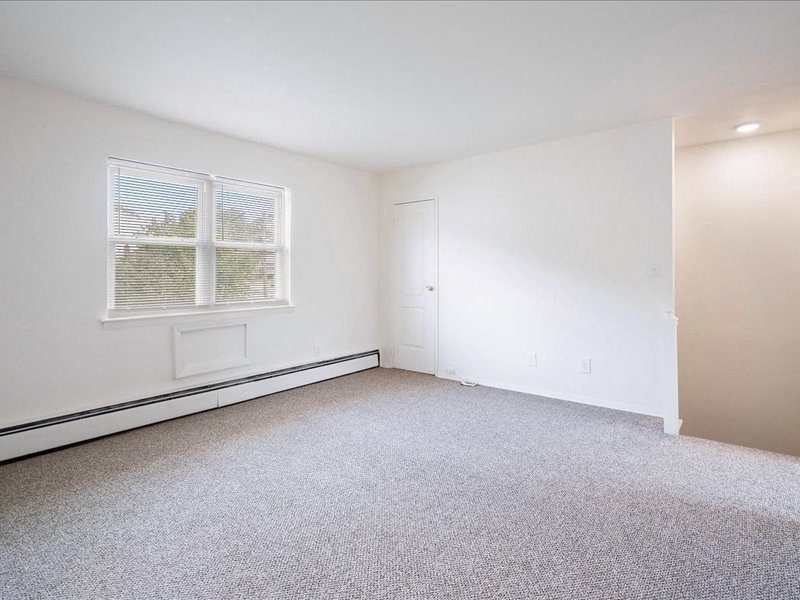 Gallery Photo 11
